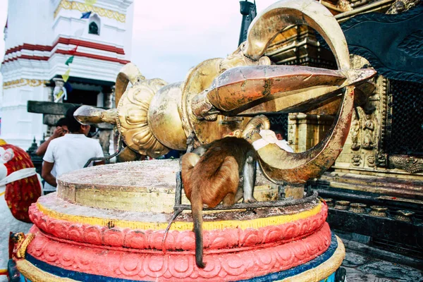 Kathmandu Nepal Agosto 2018 Vista Templo Localizado Topo Templo Macaco — Fotografia de Stock