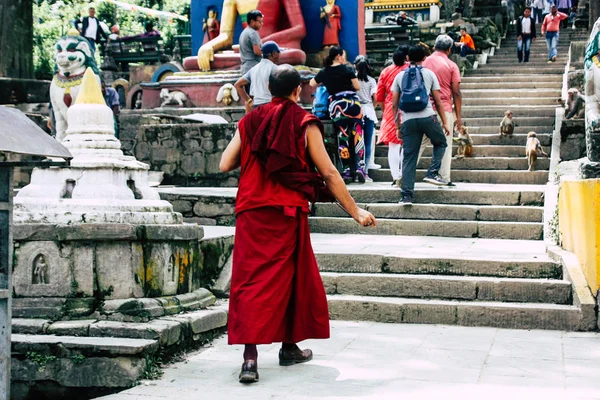 Katmandu Nepal Ağustos 2018 Maymun Tapınağı Ziyaret Bilinmeyenli Turist Görünümünü — Stok fotoğraf