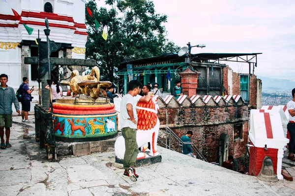Катманду Непал Серпня 2018 Подання Невідомих Турист Мавпи Храмі Знаходиться — стокове фото