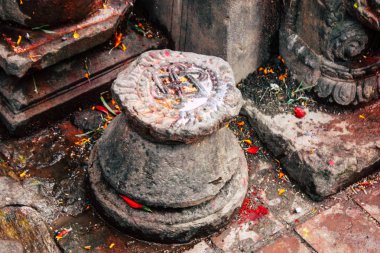 Katmandu Nepal 27 Ağustos 2018 Closeup burası sabahları Pashupatinath Tapınağı içinde ibadet