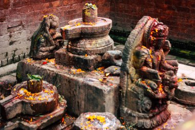 Katmandu Nepal 27 Ağustos 2018 Closeup burası sabahları Pashupatinath Tapınağı içinde ibadet