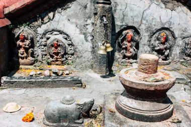 Katmandu Nepal 27 Ağustos 2018 Closeup burası sabahları Pashupatinath Tapınağı içinde ibadet