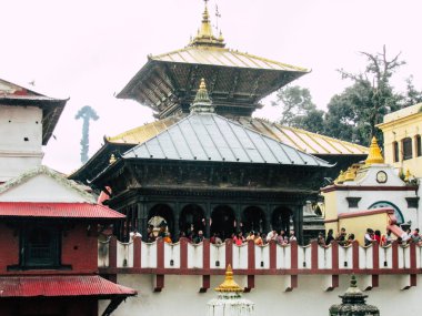  Katmandu Nepal 27 Ağustos 2018 görüş sabahleyin Pashupatinath Tapınağı