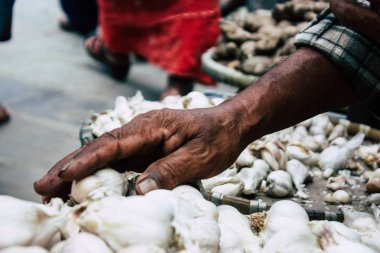 Katmandu Nepal 1 Eylül 2018 Closeup el sabah sokak sebze pazarı Chhetrapati Meydanı'nda sebze satan bir bilinmeyen Nepalce insan