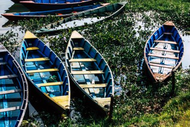 Geleneksel Nepalce closeup tekne Nepal Pokhara Phewa göl at sabah