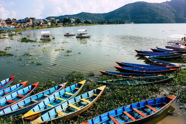 Vértes Egy Hagyományos Nepáli Hajó Phewa Pokhara Nepál Reggel — Stock Fotó