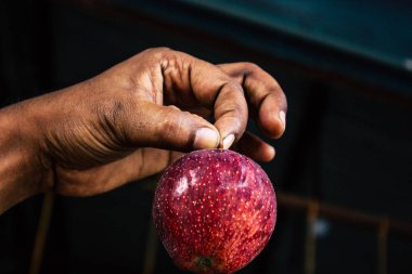 Pokhara Nepal 24 Eylül 2018 Closeup el bilinmeyen insanlar ve meyve satılan Nepal Pokhara sebze pazarı içinde