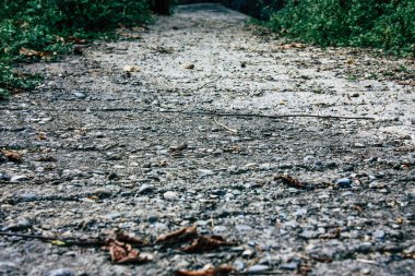 25 Eylül 2018 Pokhara Nepal Pokhara ormanda bir yoldaki görünümünü hills Nepal