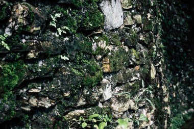 25 Eylül 2018 Pokhara Nepal Pokhara ormanda bir yoldaki görünümünü hills Nepal