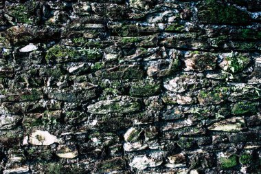 25 Eylül 2018 Pokhara Nepal Pokhara ormanda bir yoldaki görünümünü hills Nepal