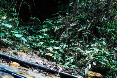 25 Eylül 2018 Pokhara Nepal Pokhara ormanda bir yoldaki görünümünü hills Nepal