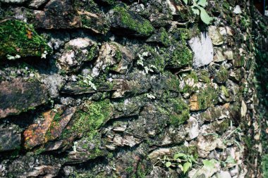 25 Eylül 2018 Pokhara Nepal Pokhara ormanda bir yoldaki görünümünü hills Nepal