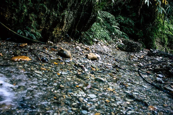 Pokhara Népal Septembre 2018 Vue Sentier Dans Jungle Dans Les — Photo