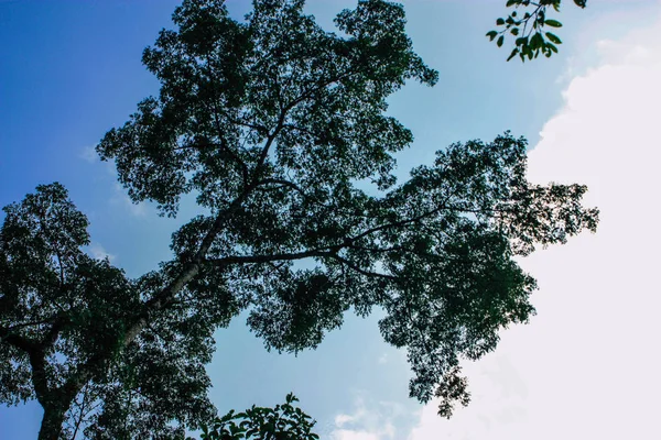 Pokhara Nepal Septiembre 2018 Vista Los Árboles Selva Las Colinas —  Fotos de Stock