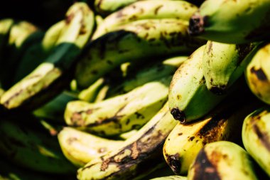 Pokhara Nepal 2 Ekim 2018 muz Closeup satılan Nepal Pokhara sebze pazarı içinde