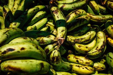 Pokhara Nepal 2 Ekim 2018 muz Closeup satılan Nepal Pokhara sebze pazarı içinde