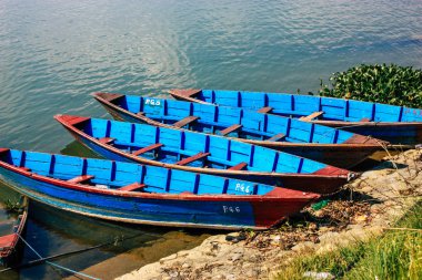Pokhara Nepal 9 Ekim 2018 renkli ve geleneksel Nepal görünümünü tekne Phewa Gölü Pokhara at sabah