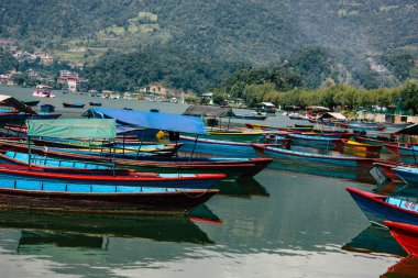 Pokhara Nepal 9 Ekim 2018 renkli ve geleneksel Nepal görünümünü tekne Phewa Gölü Pokhara at sabah