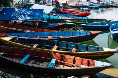 Pokhara Nepal 9 Ekim 2018 renkli ve geleneksel Nepal görünümünü tekne Phewa Gölü Pokhara at sabah