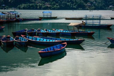 Pokhara Nepal 9 Ekim 2018 renkli ve geleneksel Nepal görünümünü tekne Phewa Gölü Pokhara at sabah