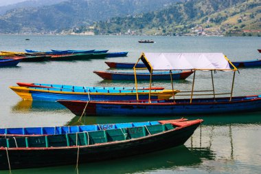 Pokhara Nepal 9 Ekim 2018 renkli ve geleneksel Nepal görünümünü tekne Phewa Gölü Pokhara at sabah