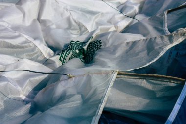 Pokhara Nepal 12 Ekim 2018 Closeup iniş alanı, yamaç paraşütü kanadının ön Pokhara Gölü öğleden sonra