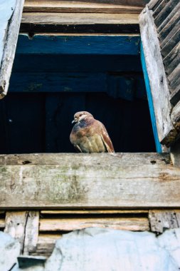 Bandipur Nepal 17 Ekim 2018 geleneksel bir Nerwar ev cephe görünümü bulunan Bandipur ana cadde öğleden sonra