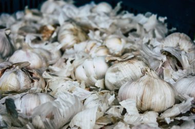 Bandipur Nepal 18 Ekim 2018 Closeup çeşitli sebze satılan Bandipur ana caddede öğleden sonra