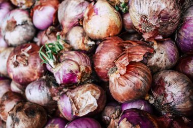 Bandipur Nepal 18 Ekim 2018 Closeup çeşitli sebze satılan Bandipur ana caddede öğleden sonra