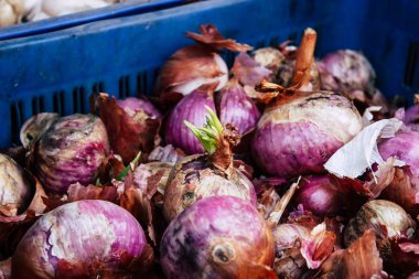 Katmandu Nepal 27 Ekim 2018 soğan Closeup satılan Katmandu piyasada öğleden sonra