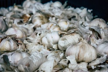 Katmandu Nepal 27 Ekim 2018 sarımsak Closeup satılan Katmandu piyasada öğleden sonra