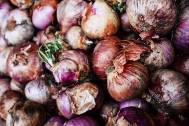 Katmandu Nepal 27 Ekim 2018 soğan Closeup satılan Katmandu piyasada öğleden sonra