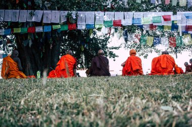 : Lumbini Nepal 2 Kasım 2018 öğleden sonra Saddhu görünüm: Lumbini Kutsal buda Garden Kutsal ağacın altında dua