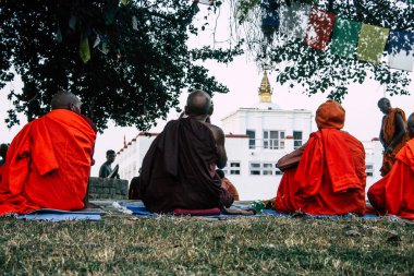 : Lumbini Nepal 2 Kasım 2018 öğleden sonra Saddhu görünüm: Lumbini Kutsal buda Garden Kutsal ağacın altında dua
