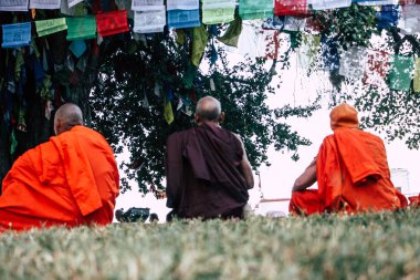 : Lumbini Nepal 2 Kasım 2018 öğleden sonra Saddhu görünüm: Lumbini Kutsal buda Garden Kutsal ağacın altında dua
