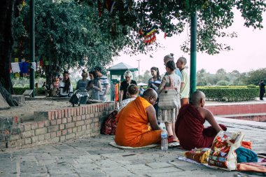 : Lumbini Nepal 2 Kasım 2018 öğleden sonra Saddhu görünüm: Lumbini Kutsal buda Garden Kutsal ağacın altında dua