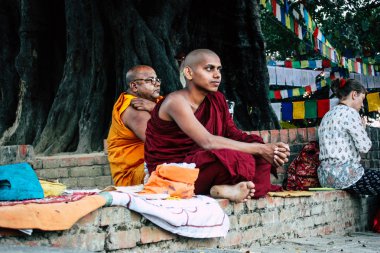 : Lumbini Nepal 2 Kasım 2018 öğleden sonra Saddhu görünüm: Lumbini Kutsal buda Garden Kutsal ağacın altında dua