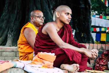 : Lumbini Nepal 2 Kasım 2018 öğleden sonra Saddhu görünüm: Lumbini Kutsal buda Garden Kutsal ağacın altında dua