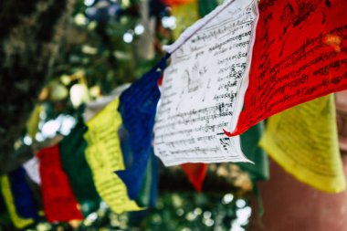 : Lumbini Nepal 2 Kasım 2018 görünümü Tibet bayraklar: Lumbini Kutsal buda Garden öğleden sonra