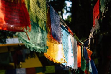 : Lumbini Nepal 2 Kasım 2018 görünümü Tibet bayraklar: Lumbini Kutsal buda Garden öğleden sonra