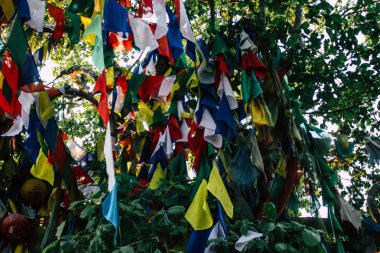 : Lumbini Nepal 2 Kasım 2018 görünümü Tibet bayraklar: Lumbini Kutsal buda Garden öğleden sonra