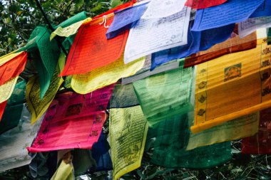 : Lumbini Nepal 2 Kasım 2018 görünümü Tibet bayraklar: Lumbini Kutsal buda Garden öğleden sonra