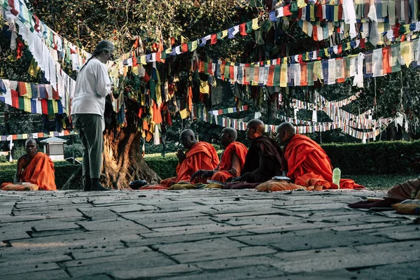 Lumbini Nepal Novembre 2018 Veduta Saddhu Che Prega Sotto Albero — Foto Stock