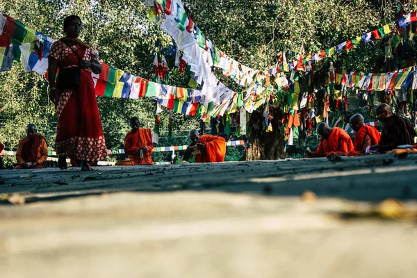 Lumbini Nepal Novembre 2018 Veduta Saddhu Che Prega Sotto Albero — Foto Stock