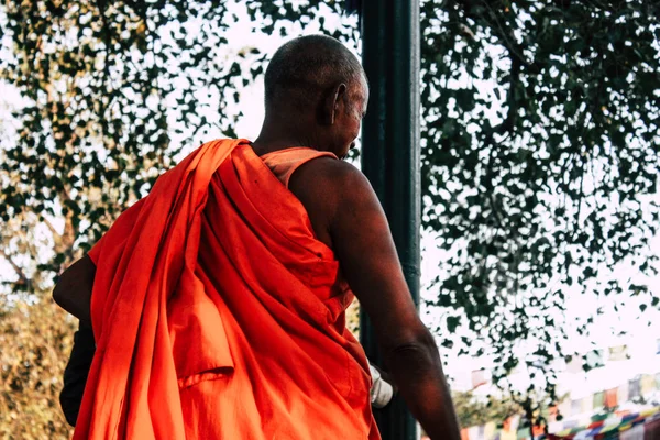 Lumbini Непал Листопада 2018 Подання Saddhu Молитися Під Святий Дерево — стокове фото