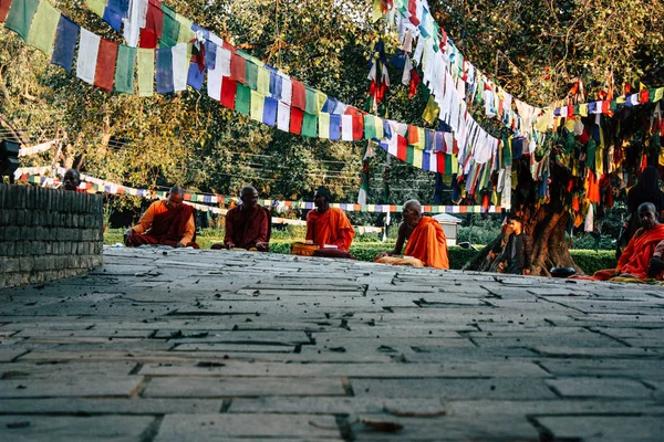 Lumbini Непал Листопада 2018 Подання Saddhu Молитися Під Святий Дерево — стокове фото