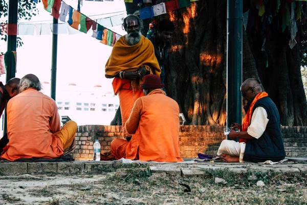 Lumbini Nepal Noviembre 2018 Vista Saddhu Rezando Bajo Árbol Sagrado —  Fotos de Stock