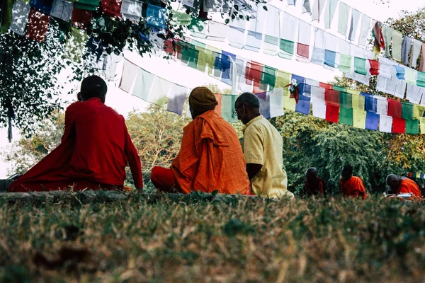 Lumbini Nepal November 2018 Pemandangan Saddhu Berdoa Bawah Pohon Suci — Stok Foto