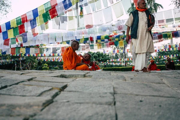 Lumbini Nepal Novembre 2018 Veduta Saddhu Che Prega Sotto Albero — Foto Stock