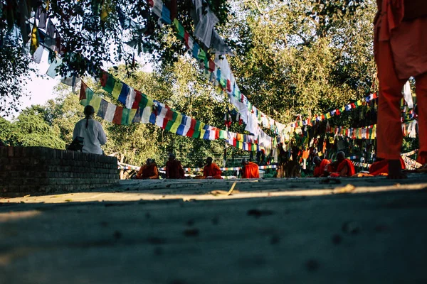 尼泊尔蓝比尼酒店2018年11月2日下午在蓝比尼圣佛花园的圣树下祈祷的萨达姆湖景观 — 图库照片